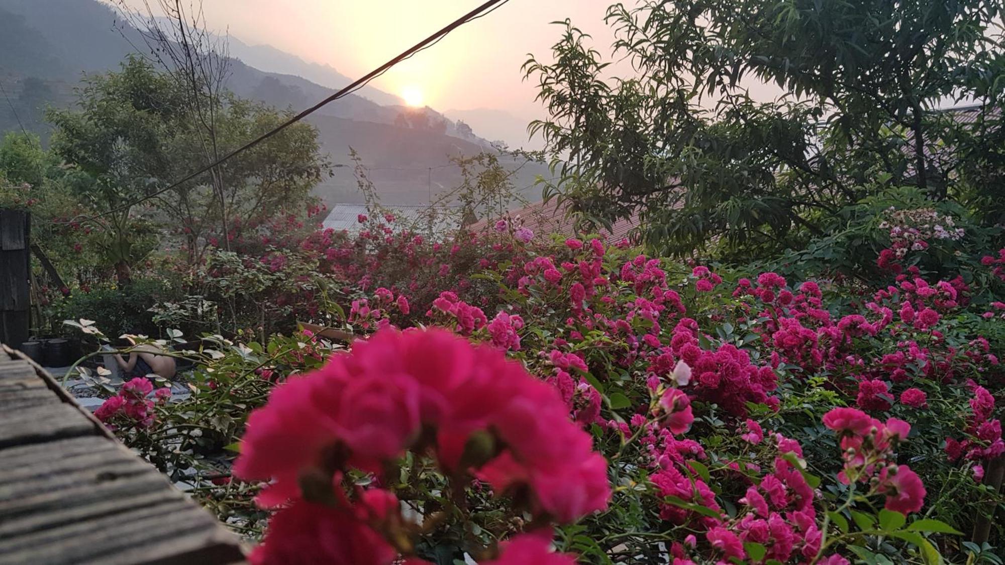 Tavan View Homestay Sa Pa Zewnętrze zdjęcie