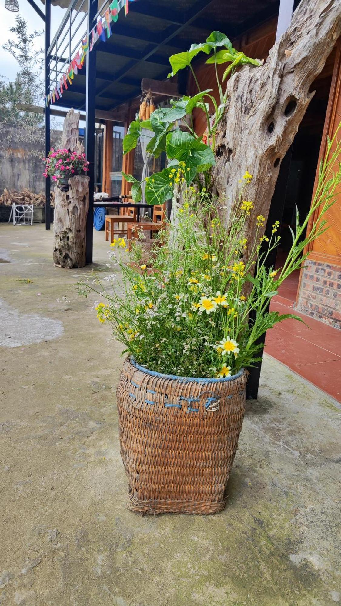 Tavan View Homestay Sa Pa Zewnętrze zdjęcie